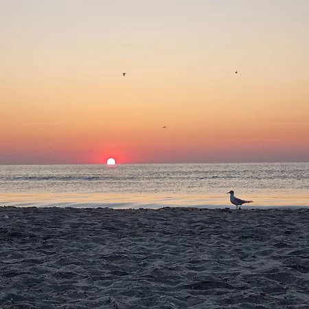 アパート Roapart- De Lux Cu Si Mare La 2 Min De Plaja *