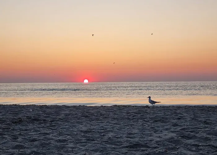 Διαμέρισμα Roapart- De Lux Cu Si Mare La 2 Min De Plaja *