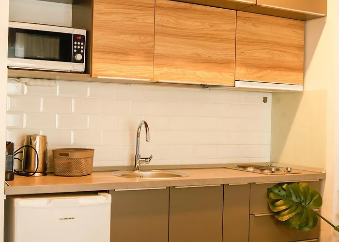 Διαμέρισμα Roapart- De Lux Cu Si Mare La 2 Min De Plaja